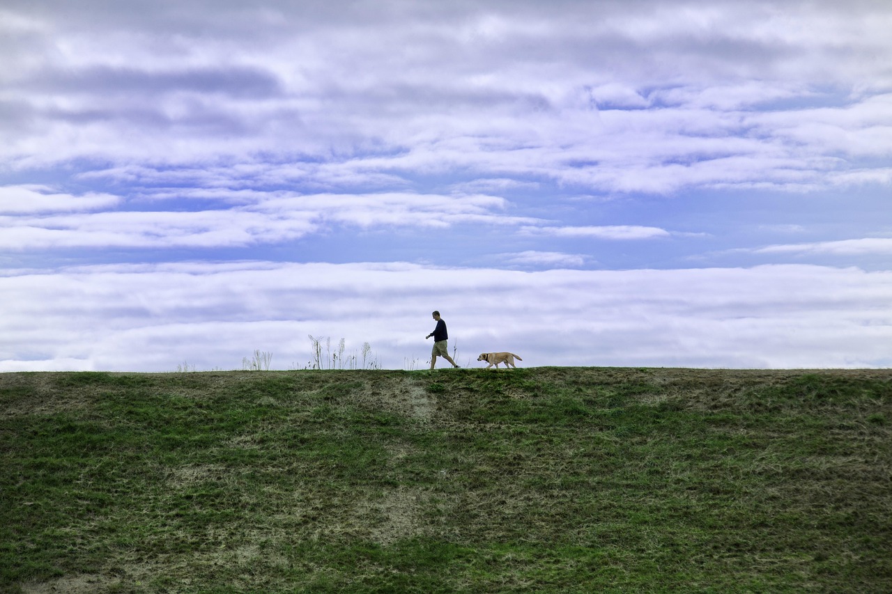 杏运正规棋类平台代理