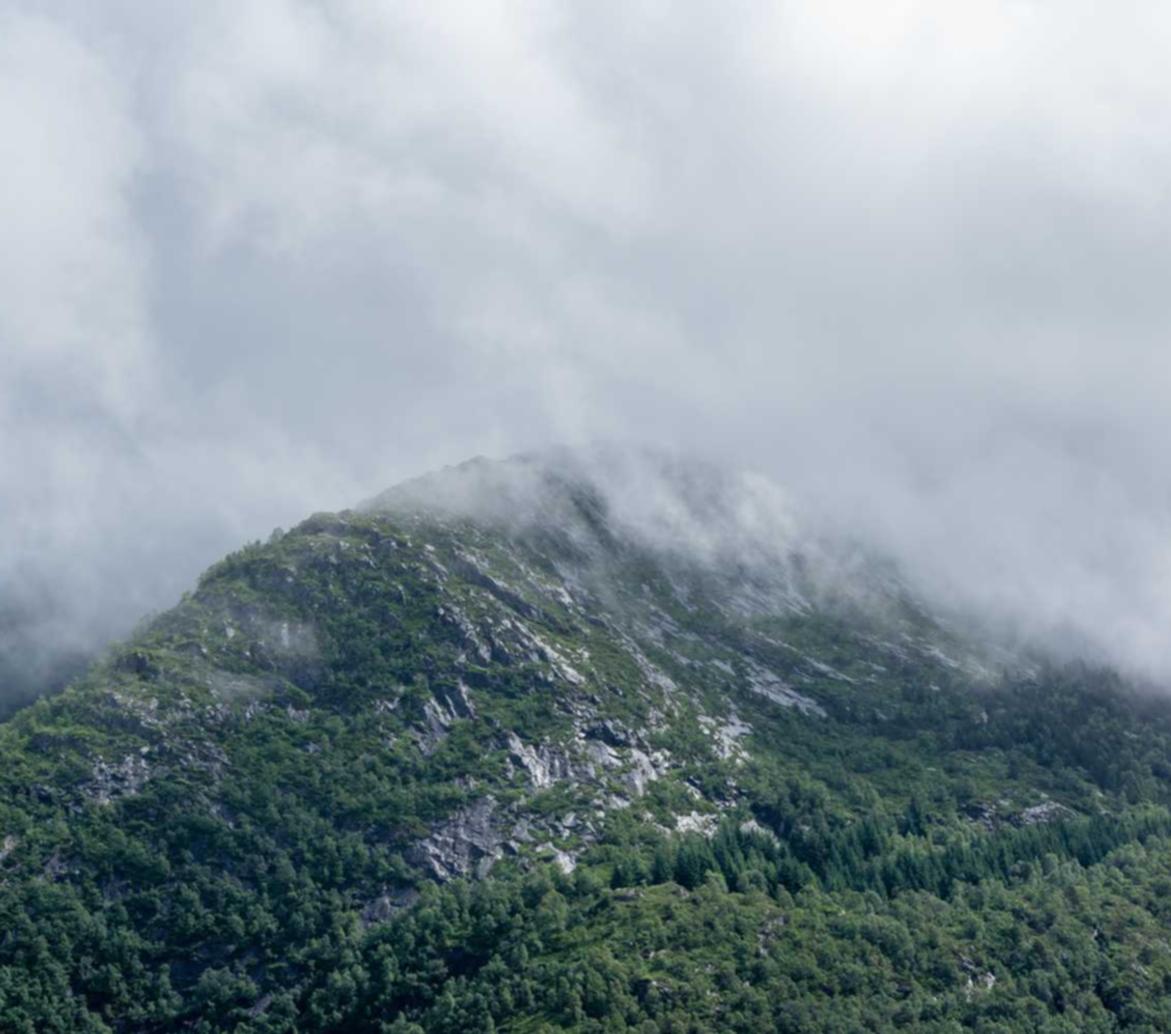 DDOS网页端平台|平台公司注销代理